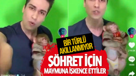 Şöhret için maymuna işkence ettiler