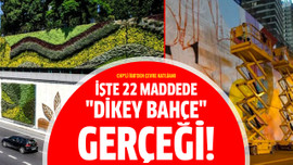 İşte 22 maddede "dikey bahçe" gerçeği!