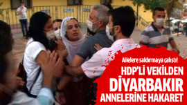 HDP'li vekilden Diyarbakır annelerine hakaret