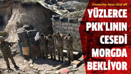 Yüzlerce PKK'lının cesedi morgda bekliyor