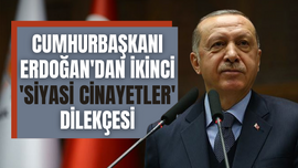 Erdoğan'dan ikinci 'siyasi cinayetler' dilekçesi