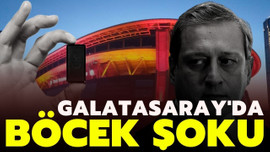 Galatasaray'da böcek şoku