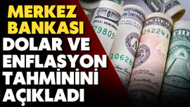 Merkez Bankası yıl sonu dolar tahminini güncelledi