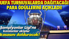 UEFA'nın dağıtacağı para ödülleri belirlendi