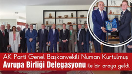 Kurtulmuş, Avrupa Birliği Delegasyonu ile buluştu