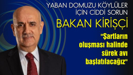 Yaban domuzları köylülerin korkulu rüyası oldu