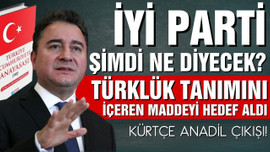 Babacan'dan Türklük ve Kürtçe anadil çıkışı!