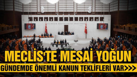 Meclis, mart ayında yoğun mesai yapacak!