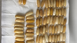 125 kilogram sentetik uyuşturucu ele geçirildi!