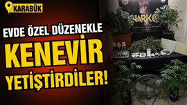  Evde özel düzenekle kenevir yetiştirdiler!