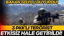 Lice'de 3 PKK'lı terörist etkisiz hale getirildi