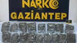 Gaziantep'te 8 kilo 550 gram skunk yakalandı!