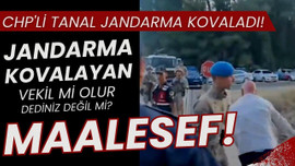 CHP'li Tanal, jandarma personelini kovaladı!