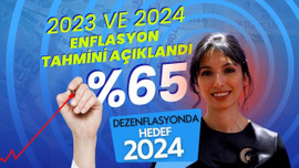 2024 yılı enflasyon tahmini açıklandı!