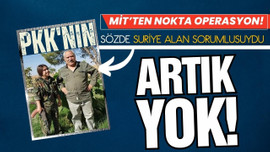 MİT'ten nokta operasyon!