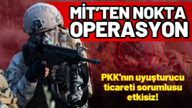 MİT'ten nokta operasyon!