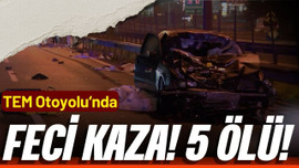 TEM Otoyolu'nda feci kaza: 5 ölü!