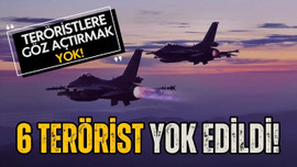 6 PKK'lı terörist etkisiz hale getirildi