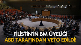 Filistin'in BM üyeliği, ABD tarafından veto edildi