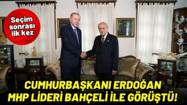 Cumhurbaşkanı Erdoğan, Bahçeli ile görüştü