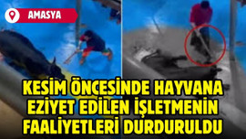 Amasya'da hayvana eziyet