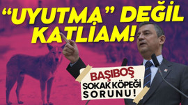 Özel'den başıboş sokak köpeği mesajı!