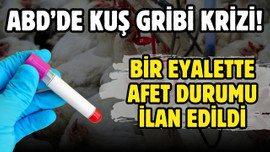 ABD’de kuş gribi krizi devam ediyor!