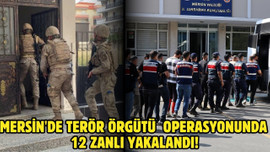 Terör örgütü operasyonunda 12 zanlı yakalandı!