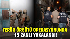 Terör örgütü operasyonunda 12 zanlı yakalandı!