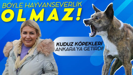 Buket Özgünlü tutuklandı!