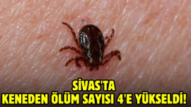 Sivas'ta keneden ölüm sayısı 4'e yükseldi!