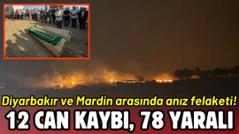 Diyarbakır ve Mardin'deki anız yangını söndürüldü!