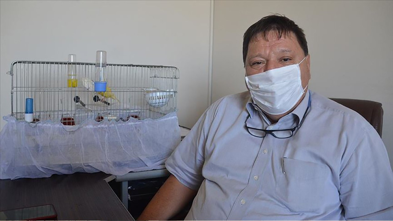 İpbüken: Öleceğimi düşünüyordum