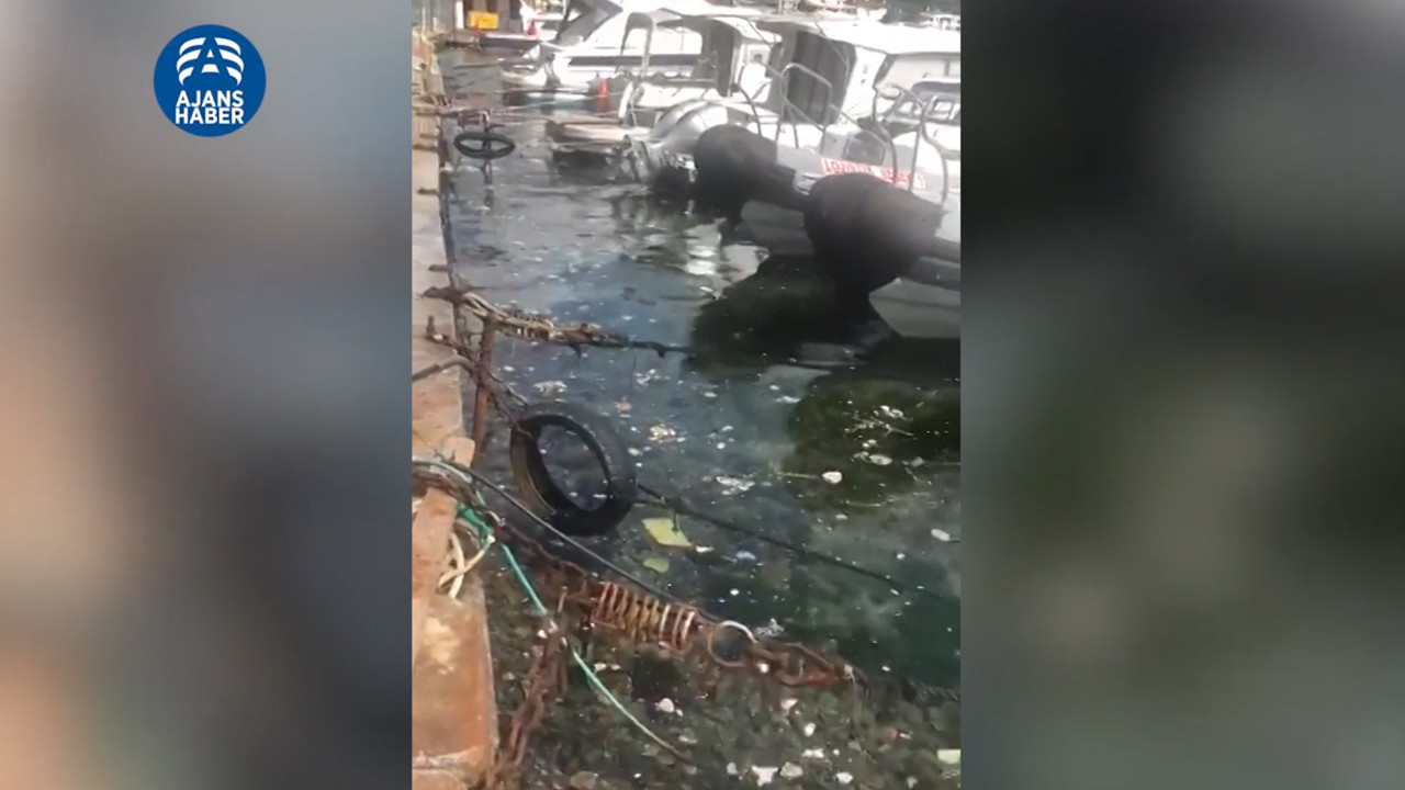 İstanbul Bebek'in içler acısı hali kamerada