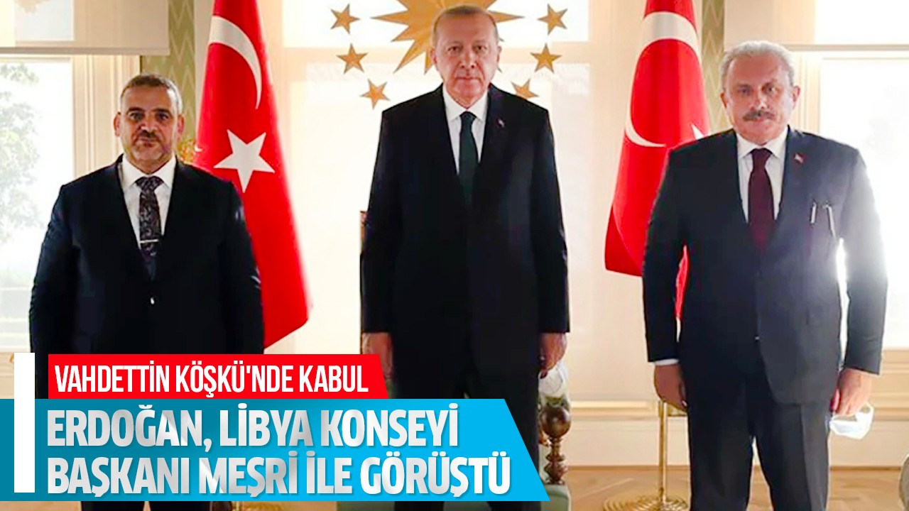 Erdoğan, Libya Konseyi Başkanı Meşri ile görüştü