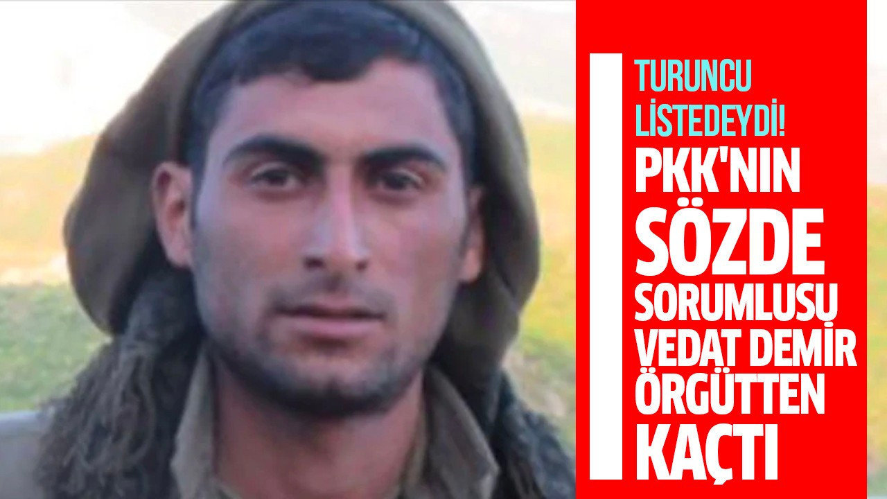 PKK'nın sözde sorumlusu Vedat Demir örgütten kaçtı