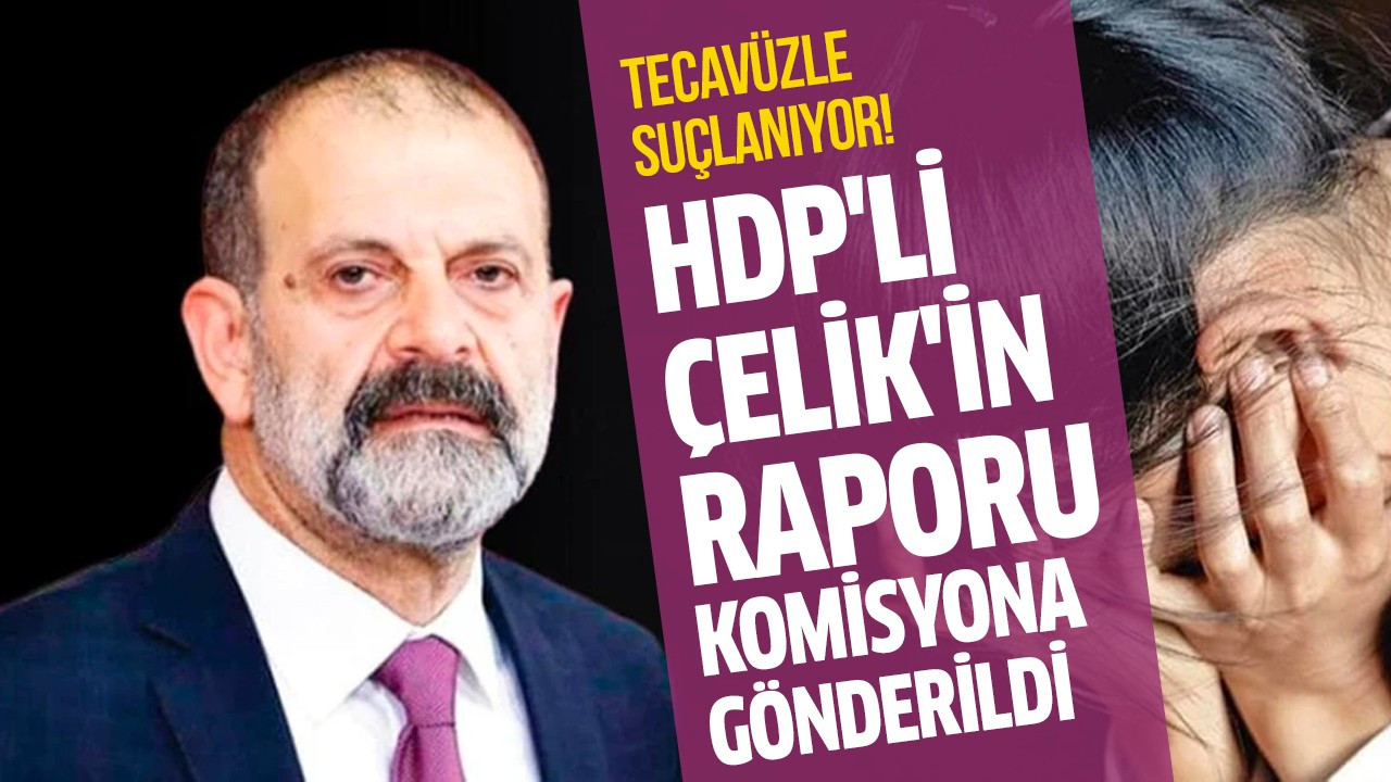 HDP'li Çelik'in raporu komisyona gönderildi