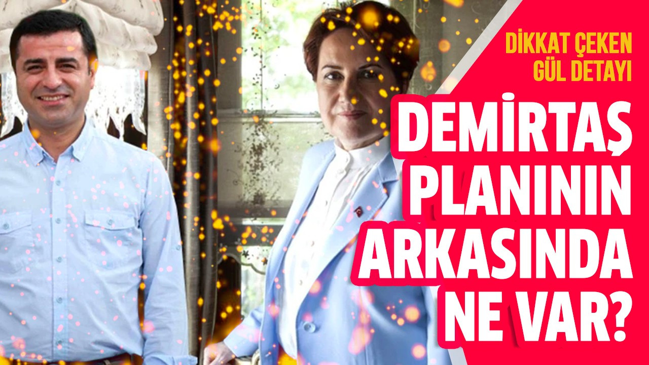 Demirtaş planının arkasında ne var?