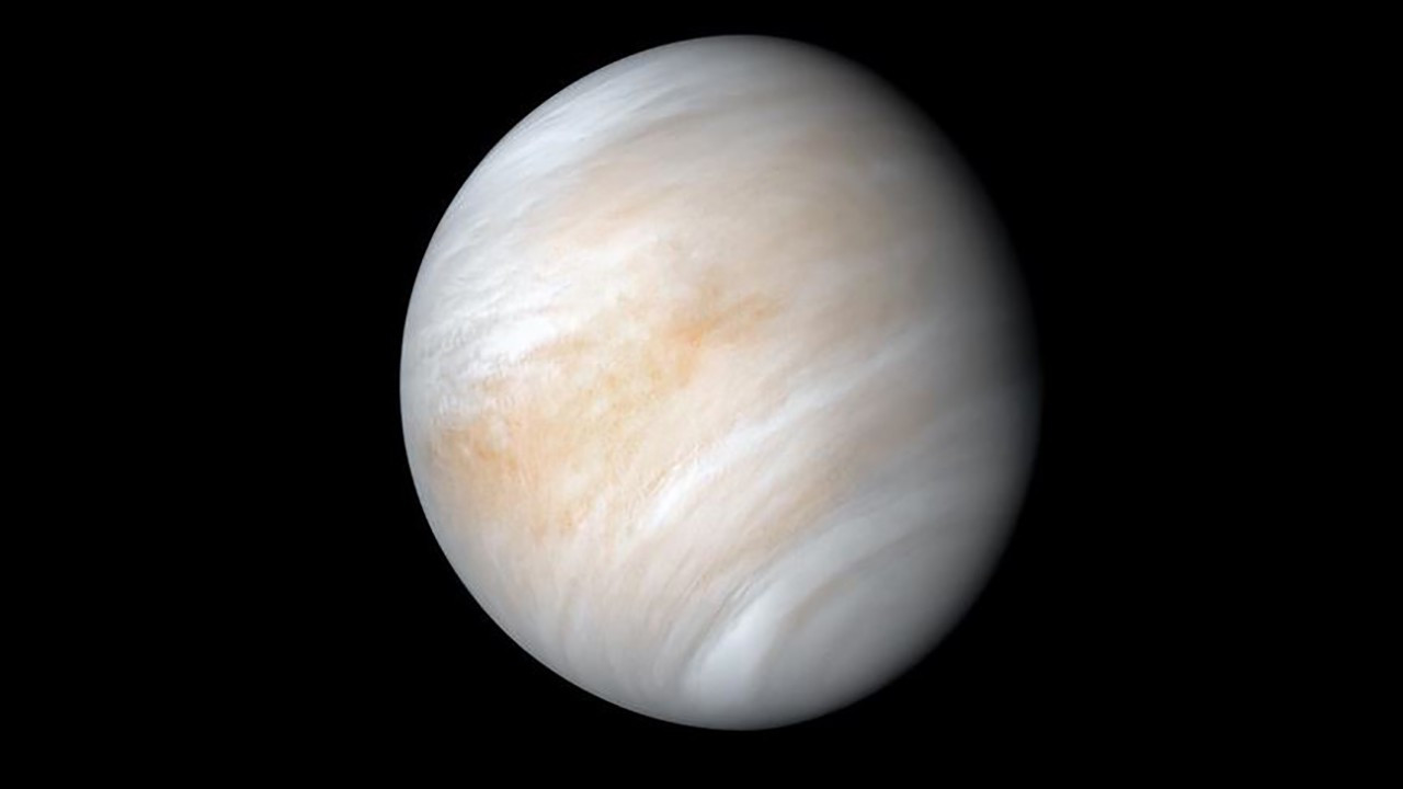 Venüs'te yaşam iddiası
