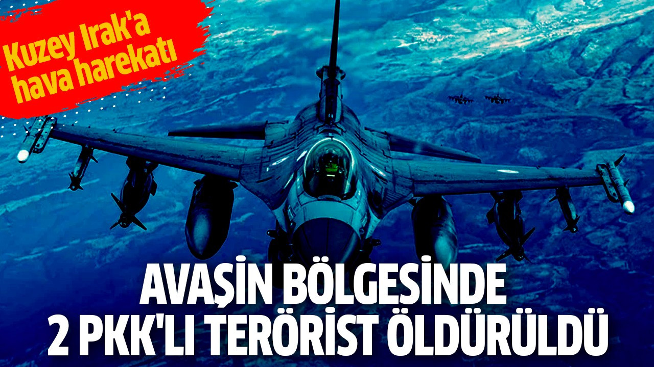 Avaşin bölgesinde 2 PKK'lı terörist öldürüldü