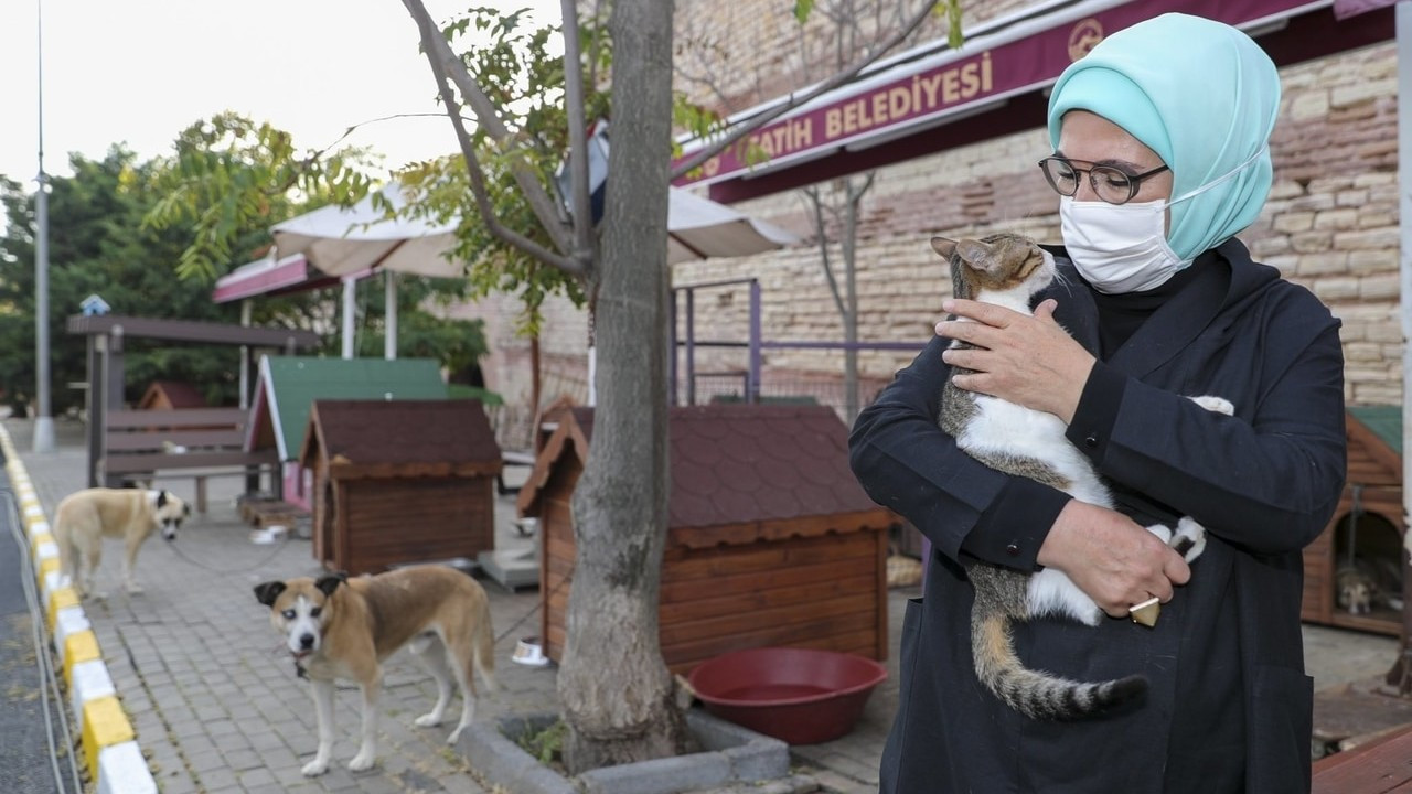 Emine Erdoğan'dan 'Hayvanları Koruma Günü' mesajı