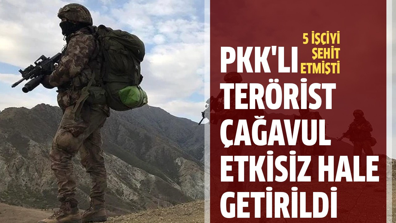 PKK'lı terörist Çağavul etkisiz hale getirildi