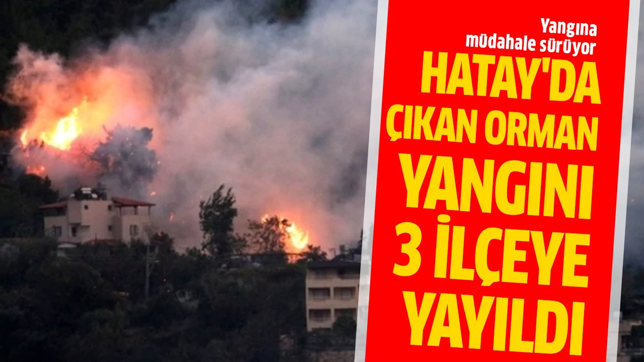 Hatay'da çıkan orman yangını 3 ilçeye yayıldı