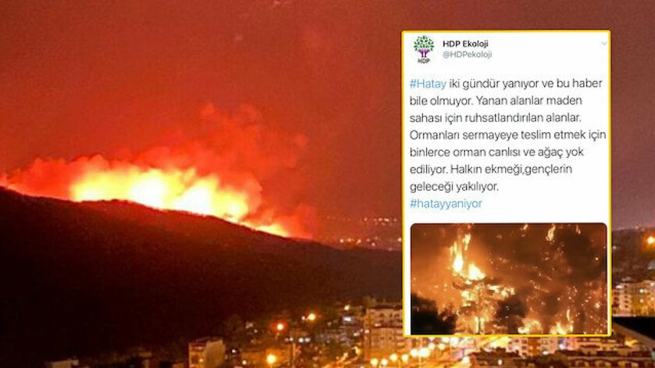 Yangınları PKK üstlenince sessizliğe gömüldüler