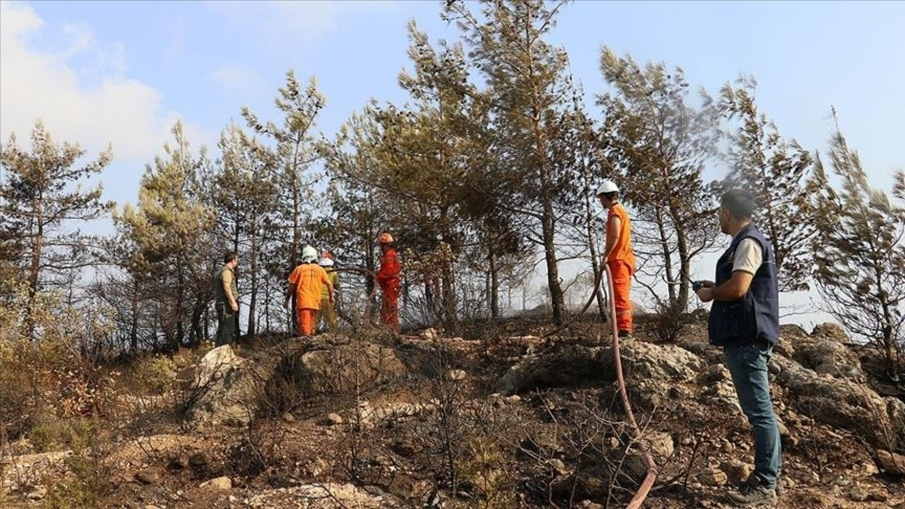 Hatay'daki yangında soğutma çalışmaları sürüyor