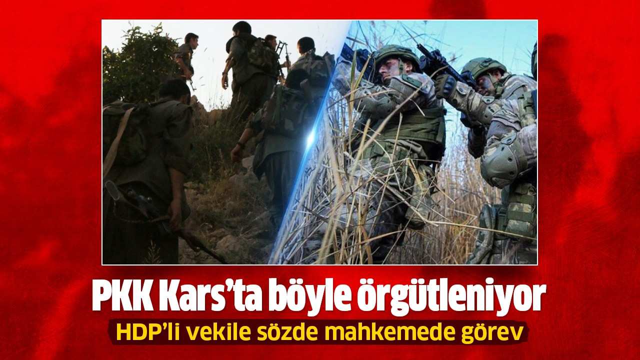 HDP'li vekile sözde mahkemede görev