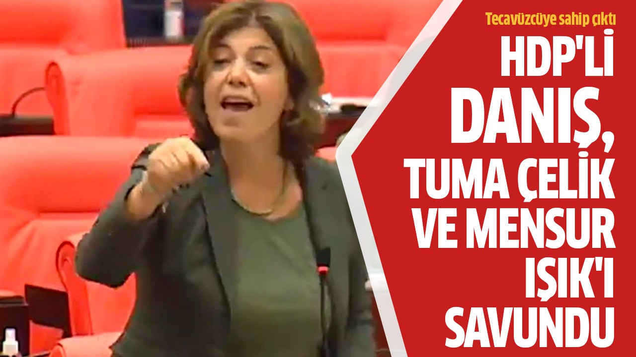 HDP'li Danış, Tuma Çelik ve Mensur Işık'ı savundu