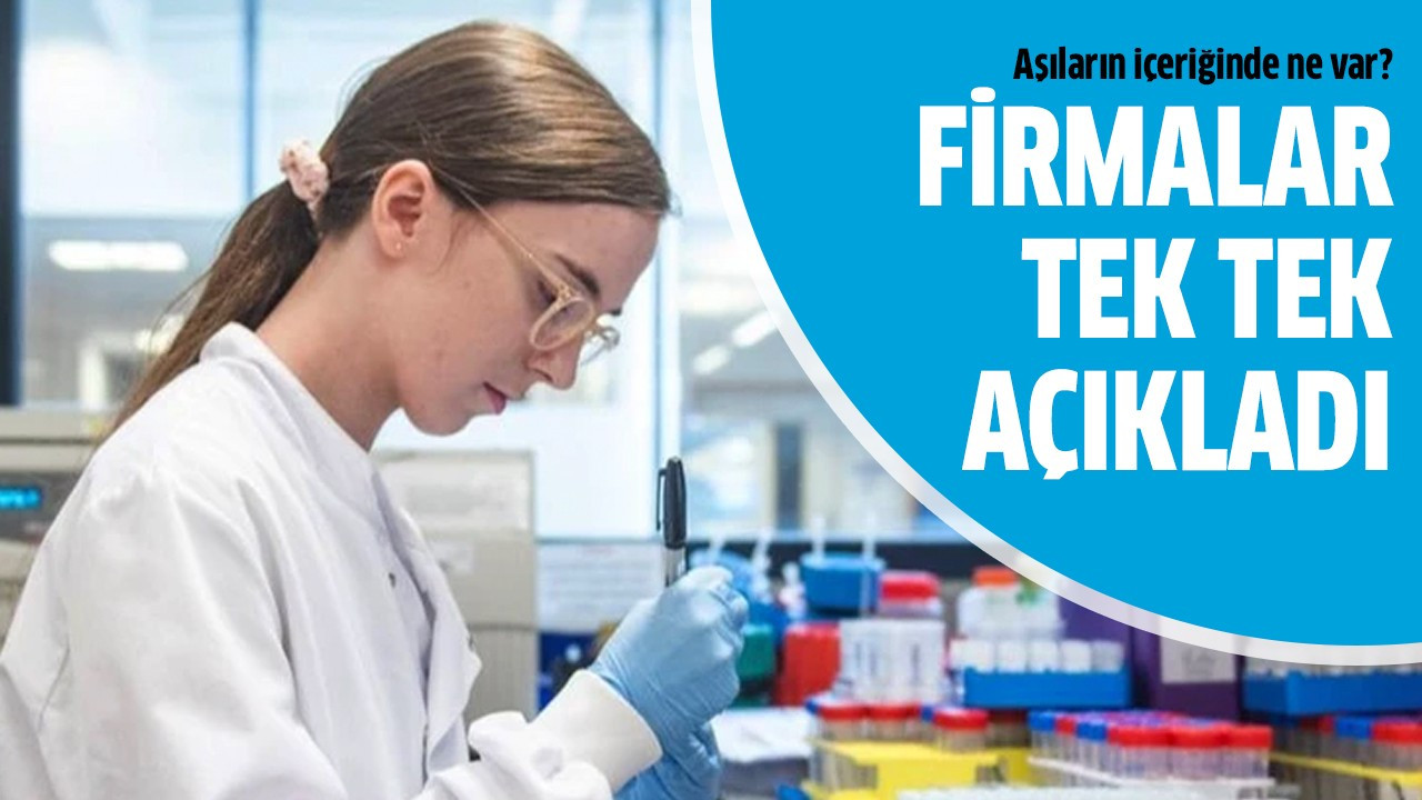 Firmalar tek tek açıkladı