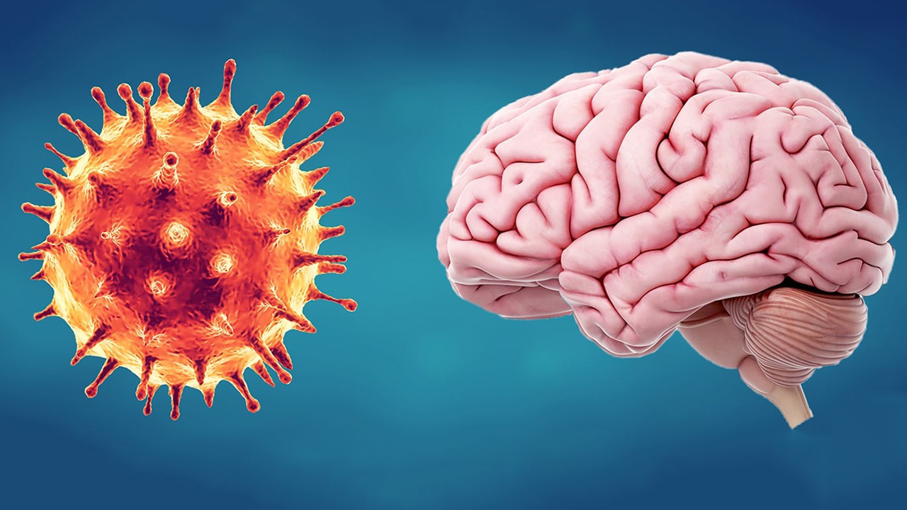 Koronavirüs beyin bariyerini aştı