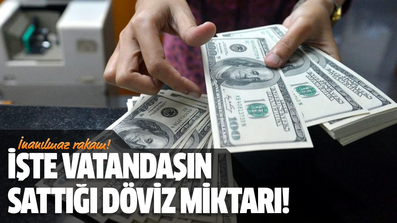 İşte vatandaşın sattığı döviz miktarı!